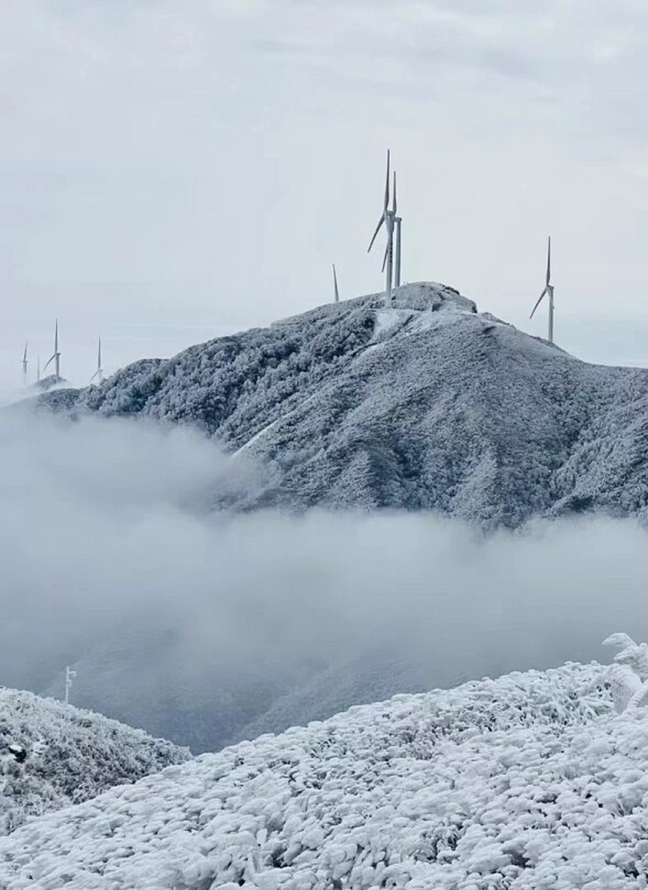 云冰山赏雾凇  云冰山,坐落在湖南与广东交界之地,主峰高达1300多米.