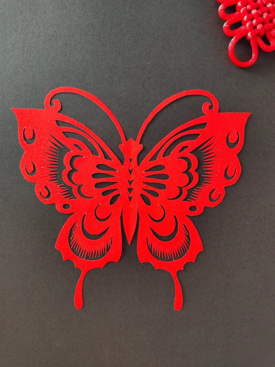 每日一剪|对折蝴蝶  蝴蝶是非遗剪纸中的经典图案,它翩翩起舞的姿态和