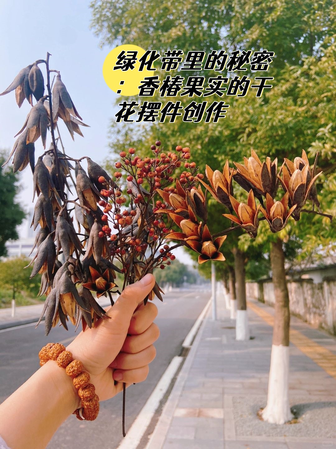 春芽树果实图片