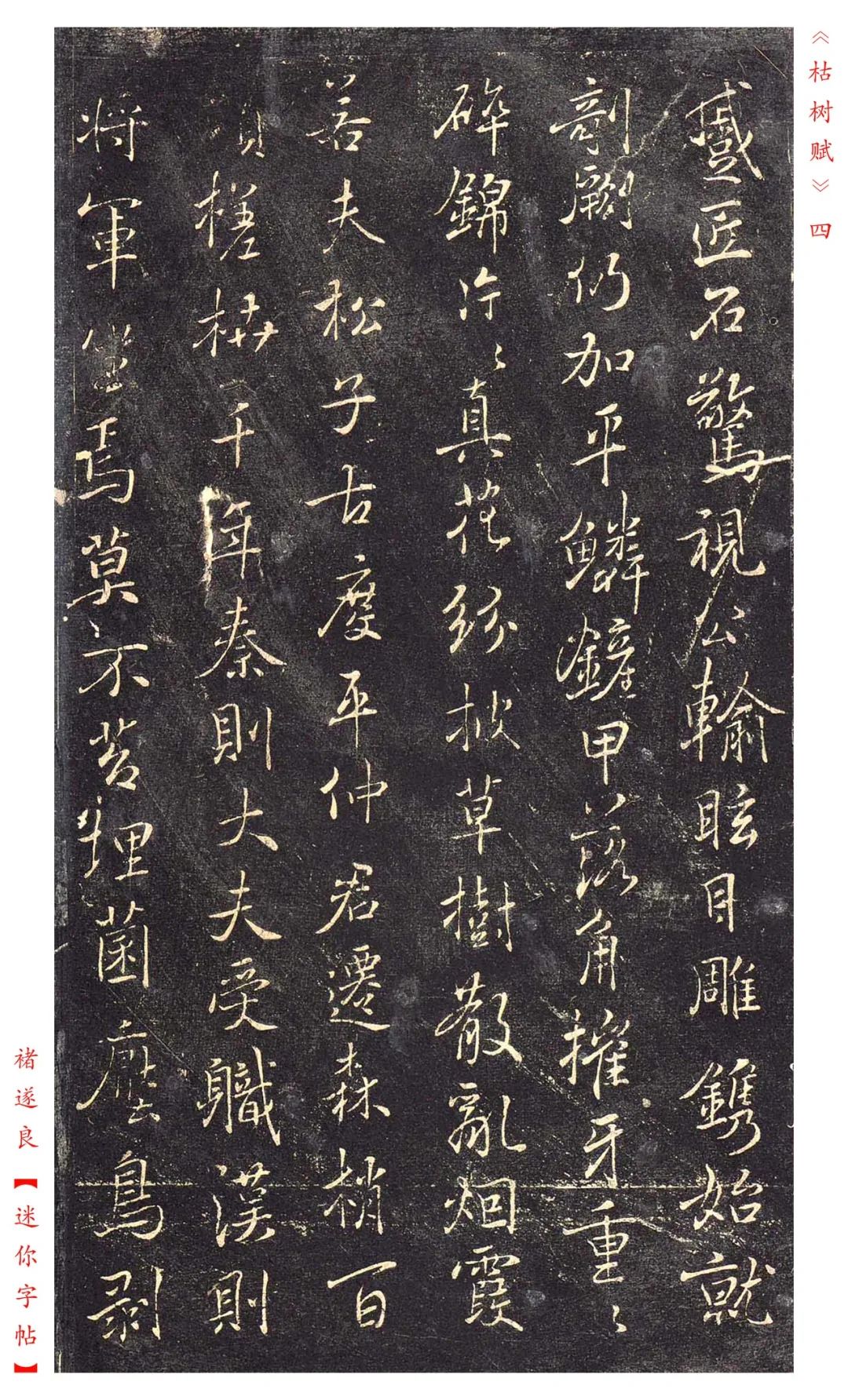 褚遂良《枯树赋》书法——赏析