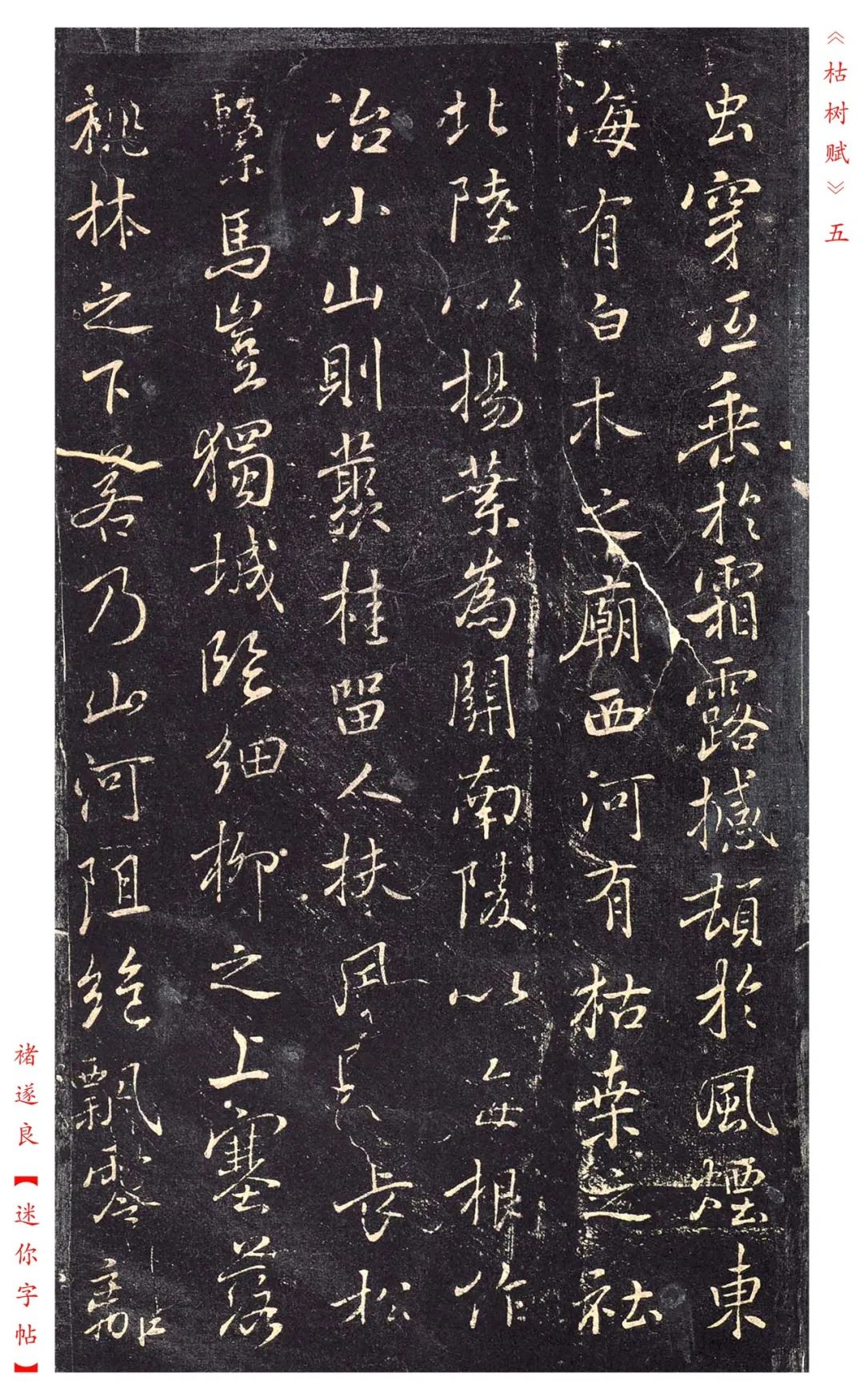 褚遂良《枯树赋》书法——赏析