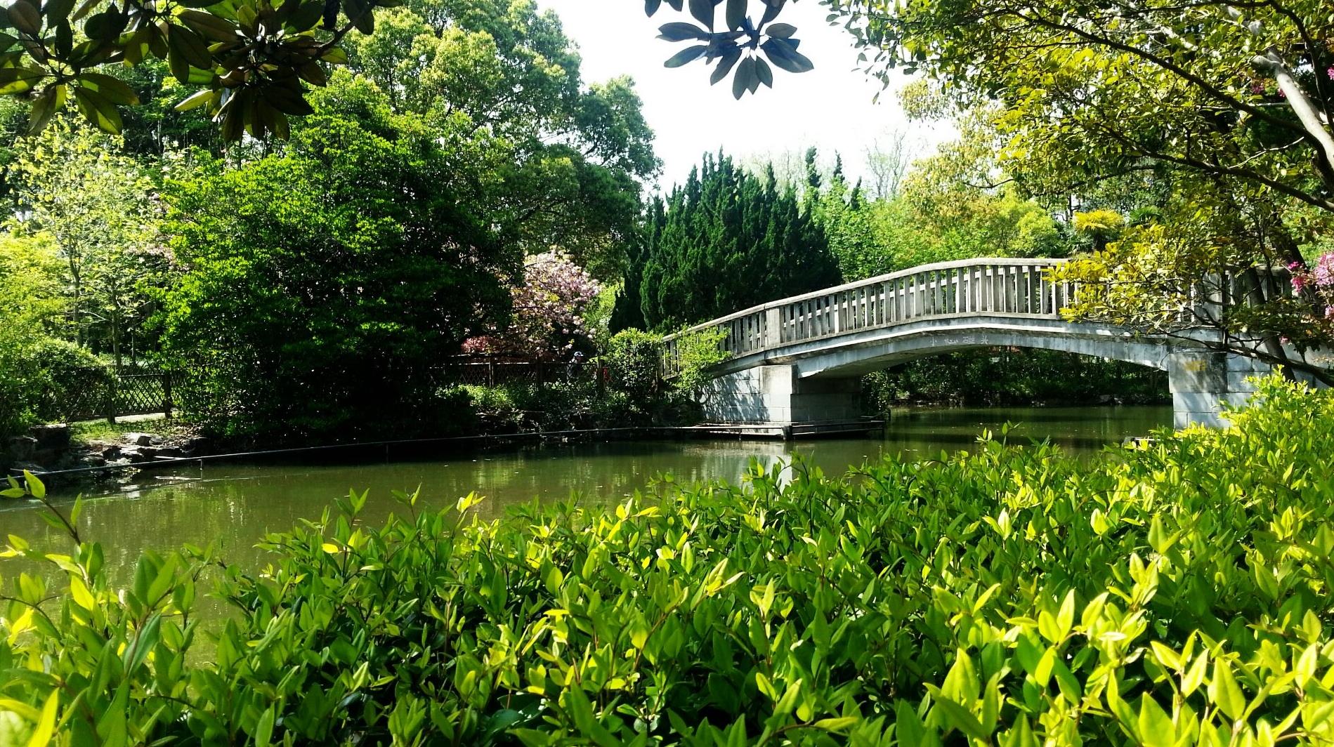 上海唯美风景有哪些?全国城市美丽风景展播,看图旅游系列
