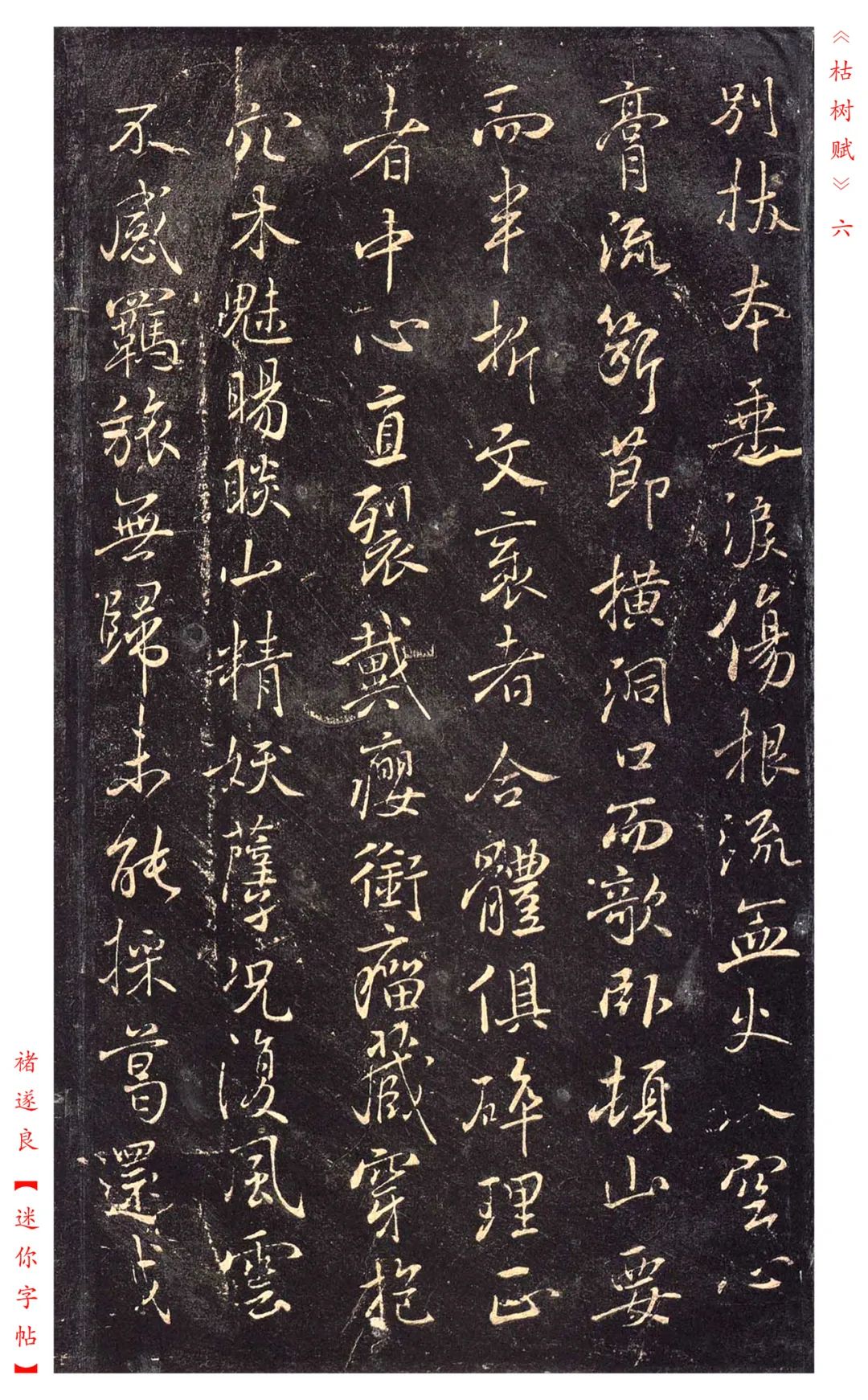 褚遂良《枯树赋》书法——赏析