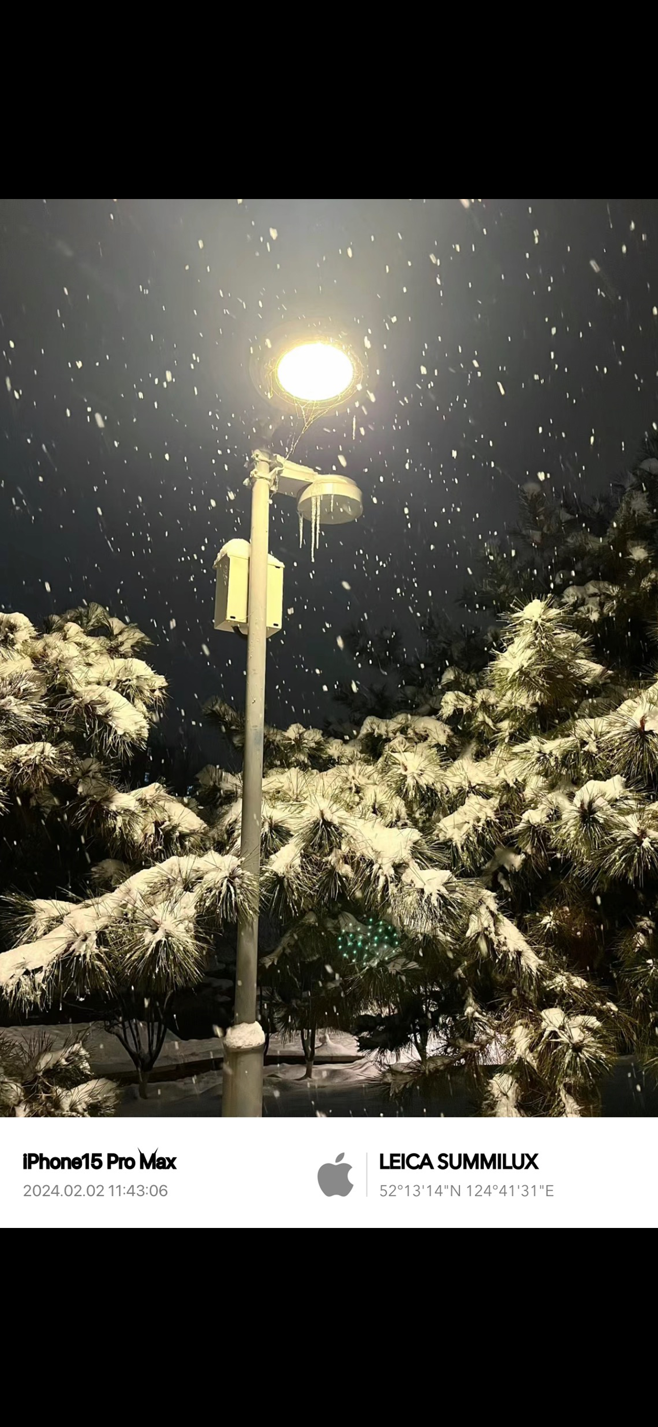 你的城市下雪了吗?给我看看你拍的雪吧!