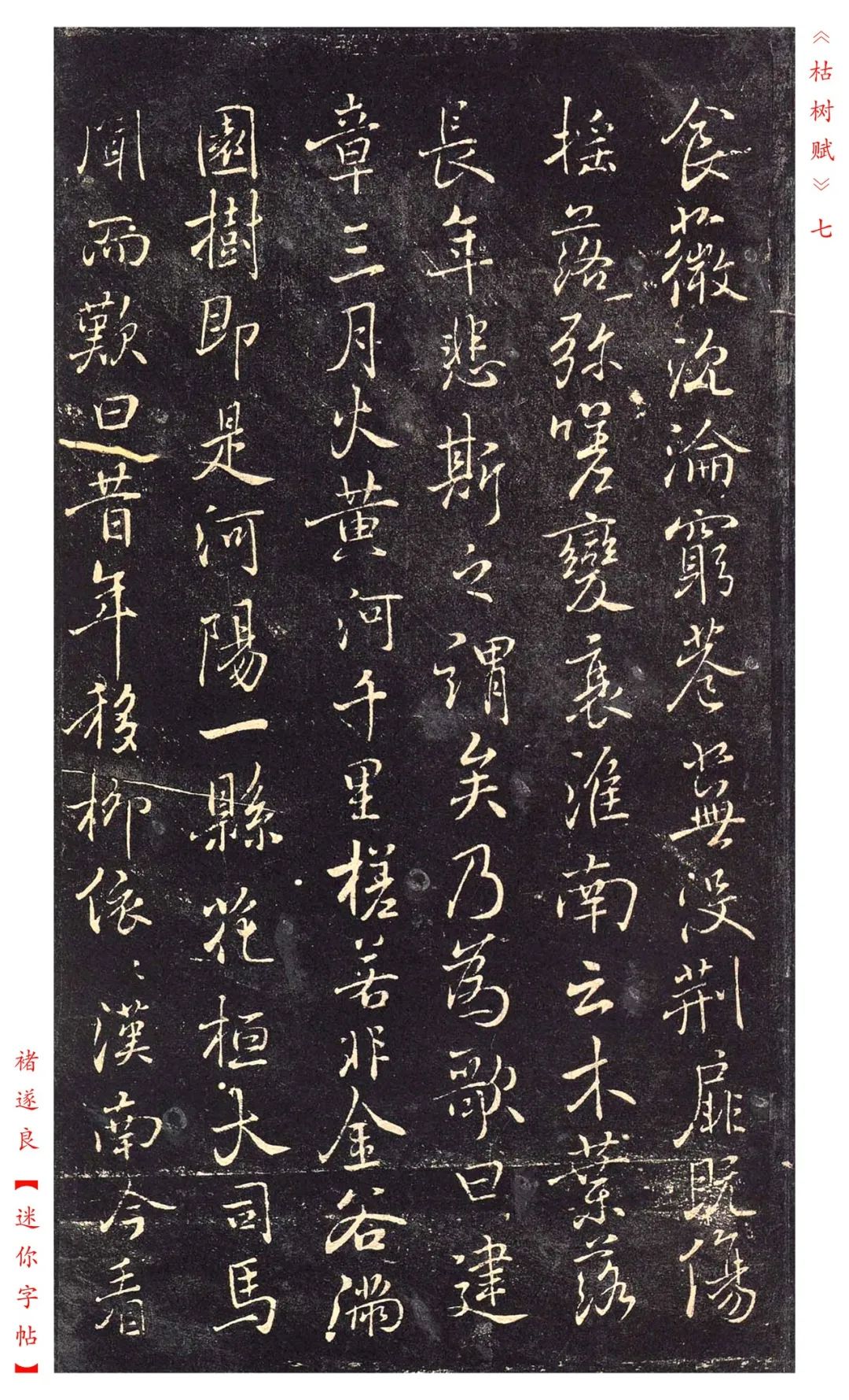 褚遂良《枯树赋》书法——赏析