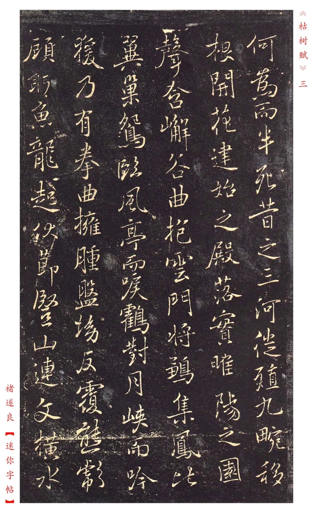 褚遂良《枯树赋》书法——赏析