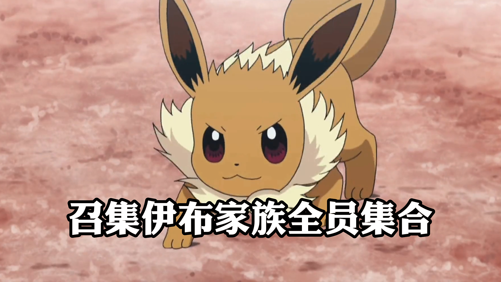 《宝可梦》,召集,伊布家族全员集合