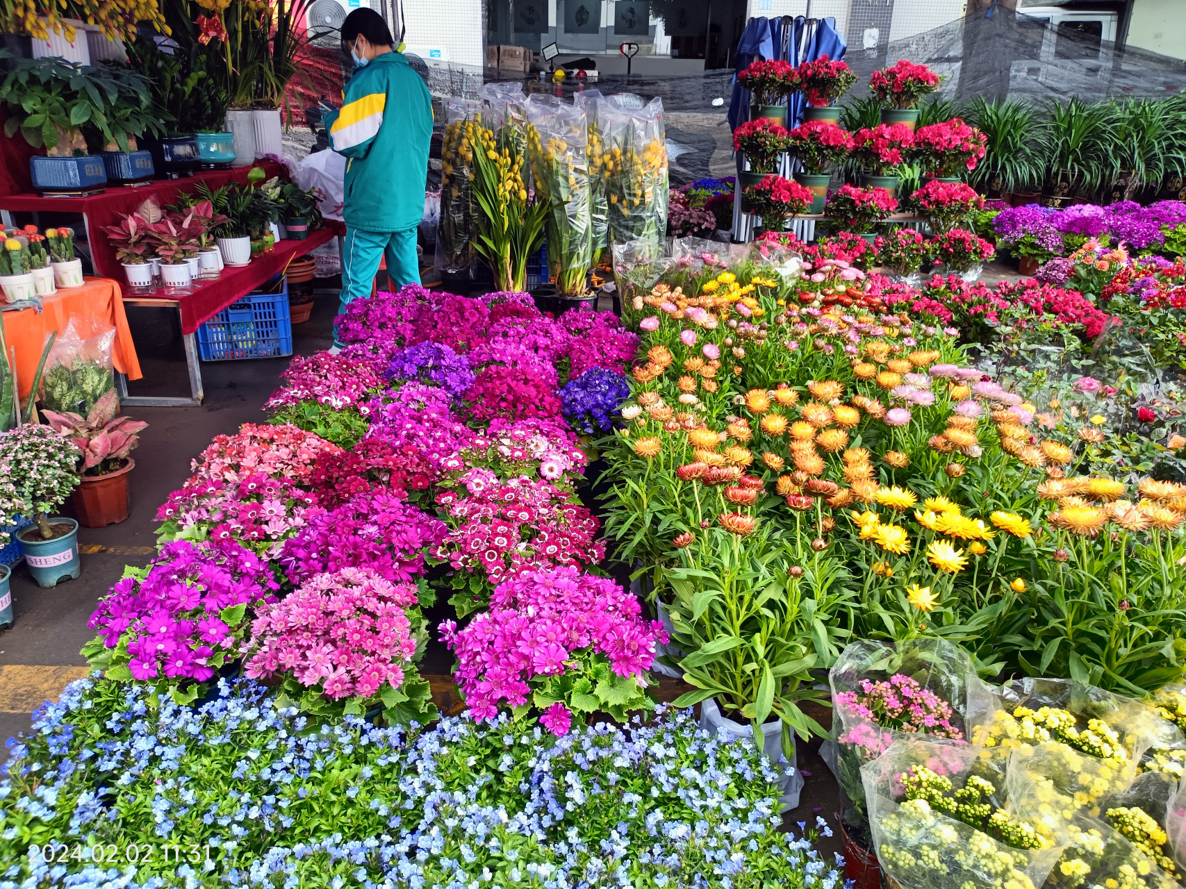 广州花卉市场砸花图片