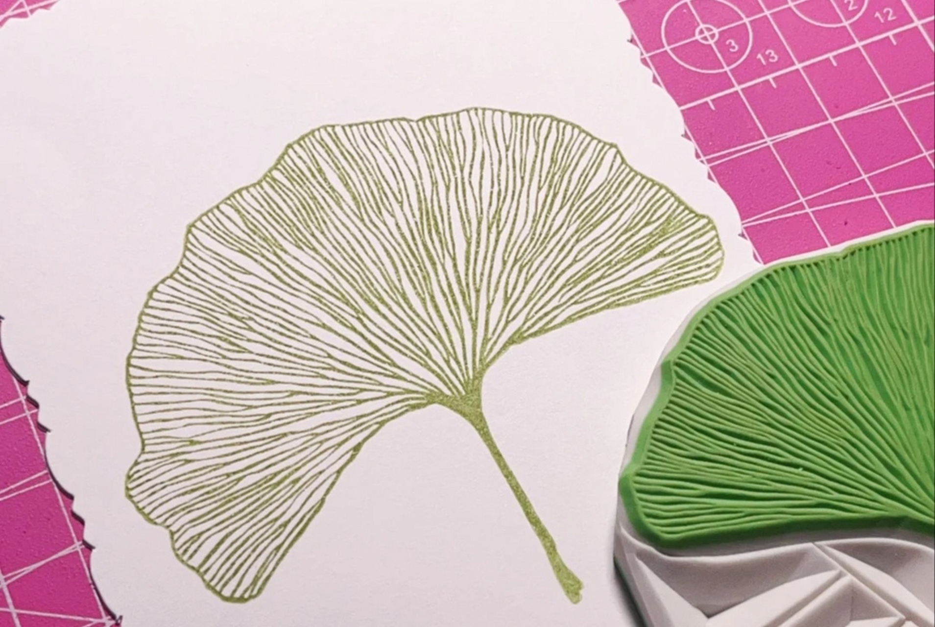 橡皮章爱好者必刻经典 橡皮章初坑必拿这款线条分明的植物dna练练手