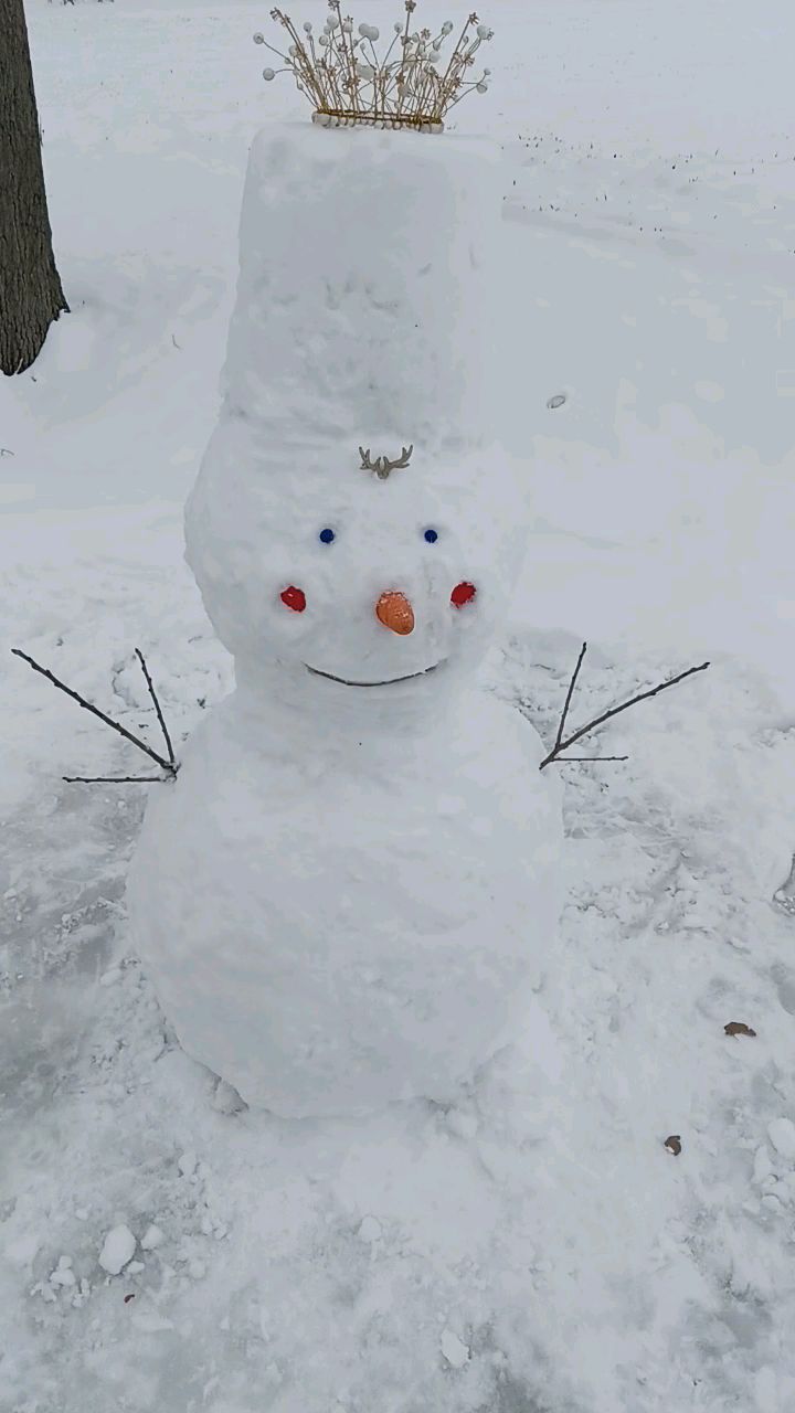 公主雪人图片大全图片