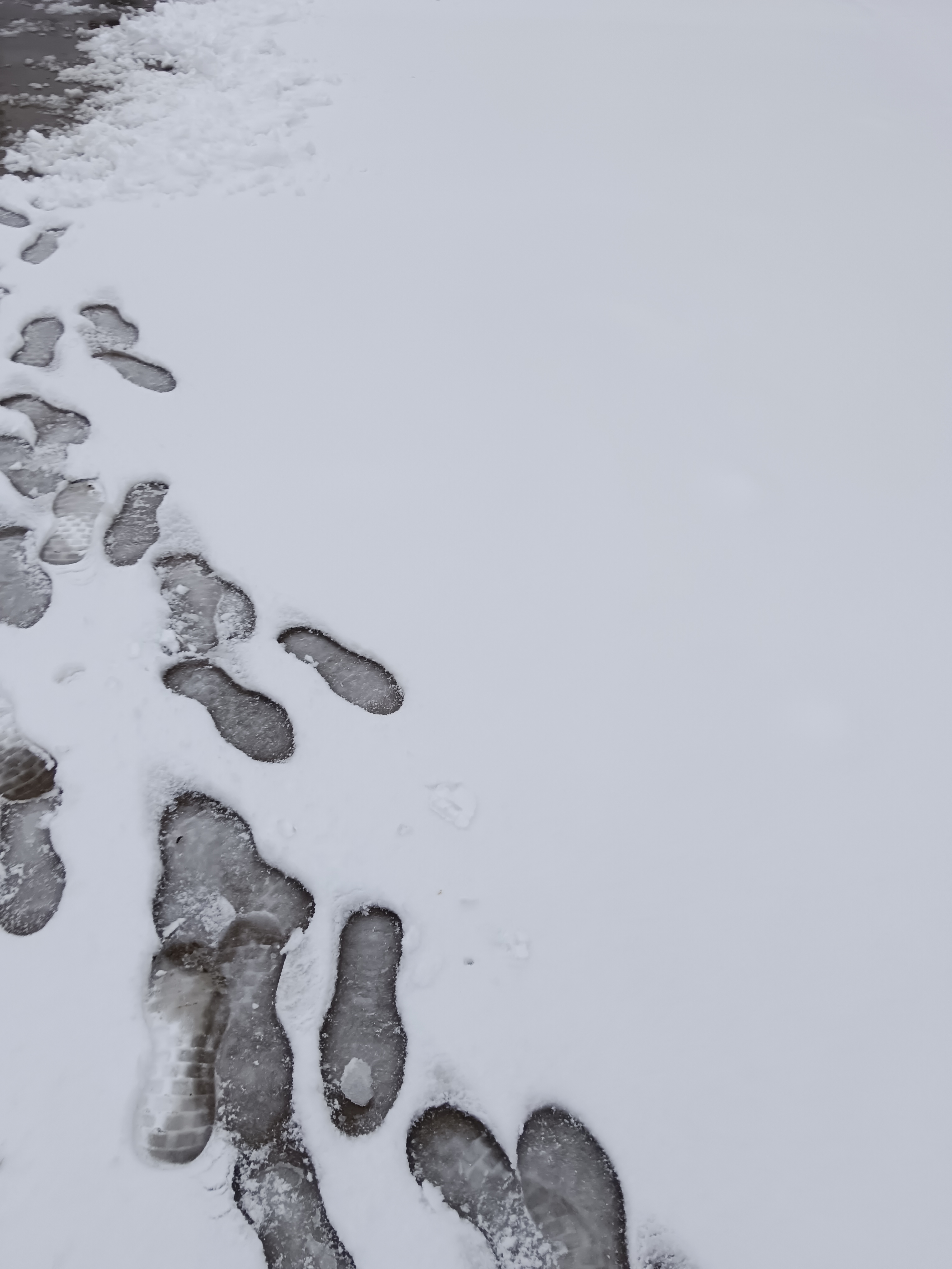 瑞雪迎新年图片