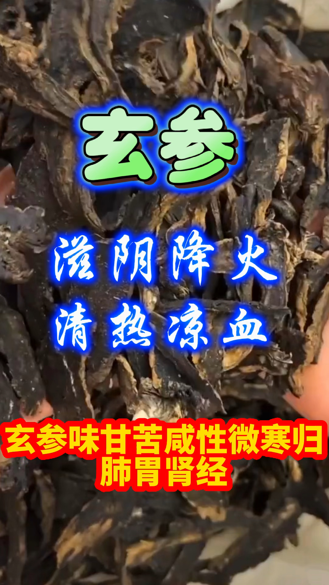 玄参的功效与作用药理图片