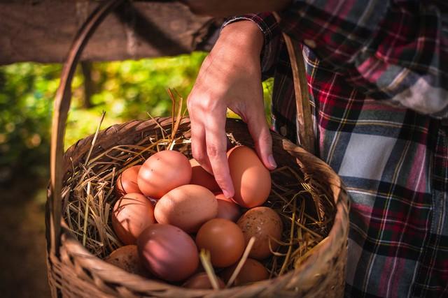 晚上还送给我们一袋鸡蛋,说是给建立吃的.