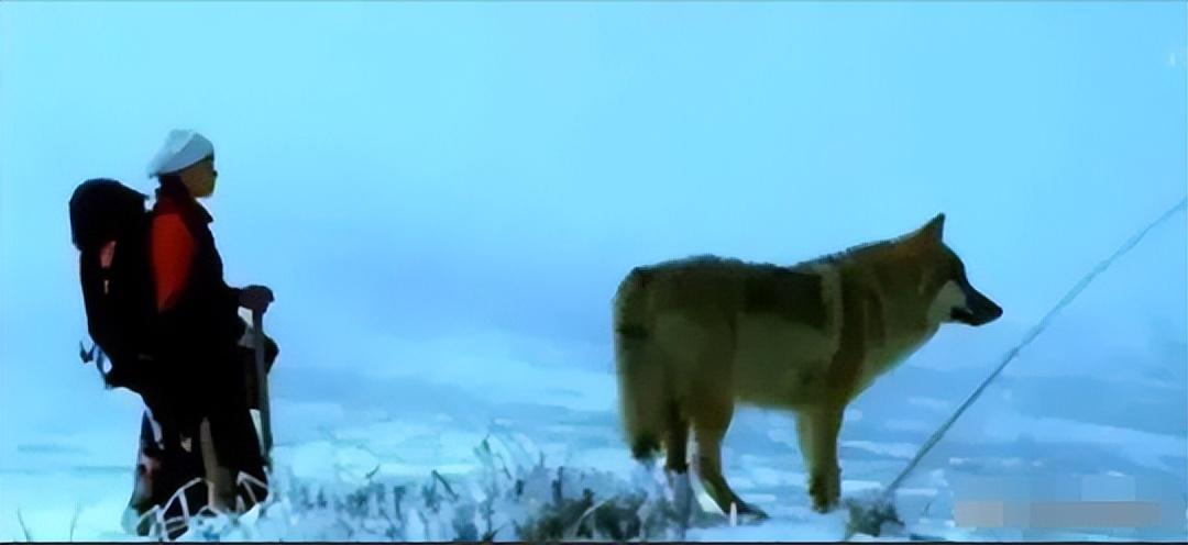 格林疯狂的舔舐李薇漪手指破洞的位置,并且瞳孔仍旧散发出幽幽绿色.