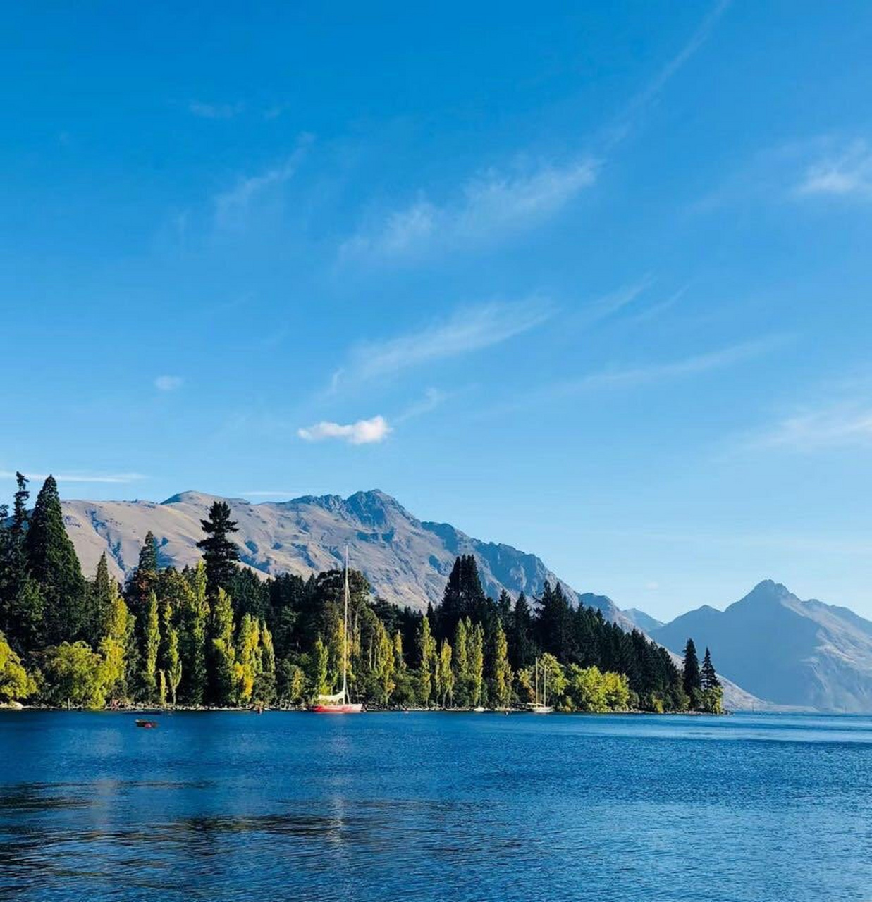 体制内微信头像  换上这些头像,让你秒变成熟稳重,彰显专业形象.