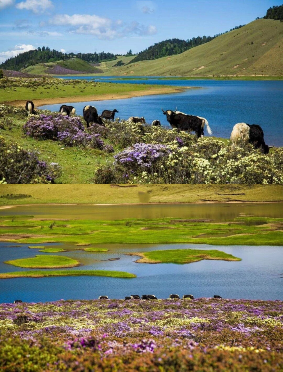 四川凉山最美的风景图片