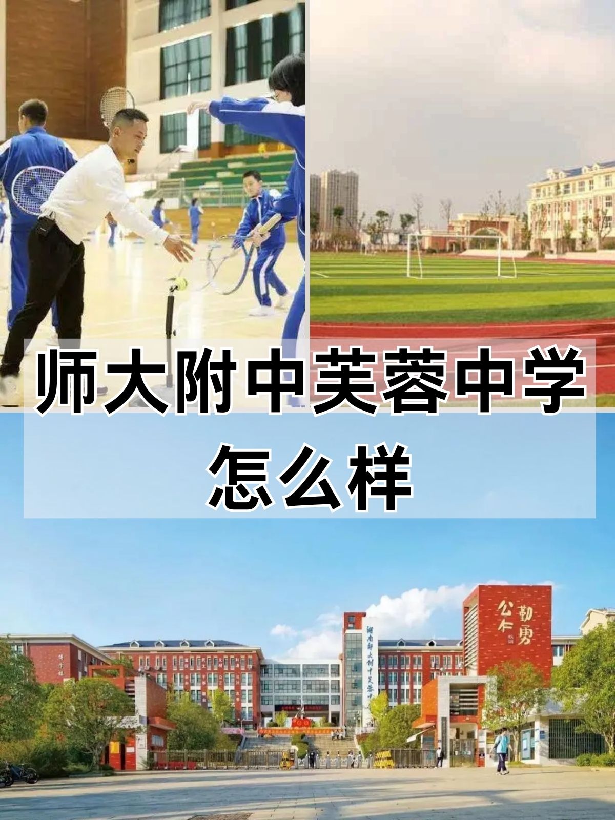 师大附中芙蓉中学怎么样 师大附中芙蓉中学:历史与未来的交汇点 师大