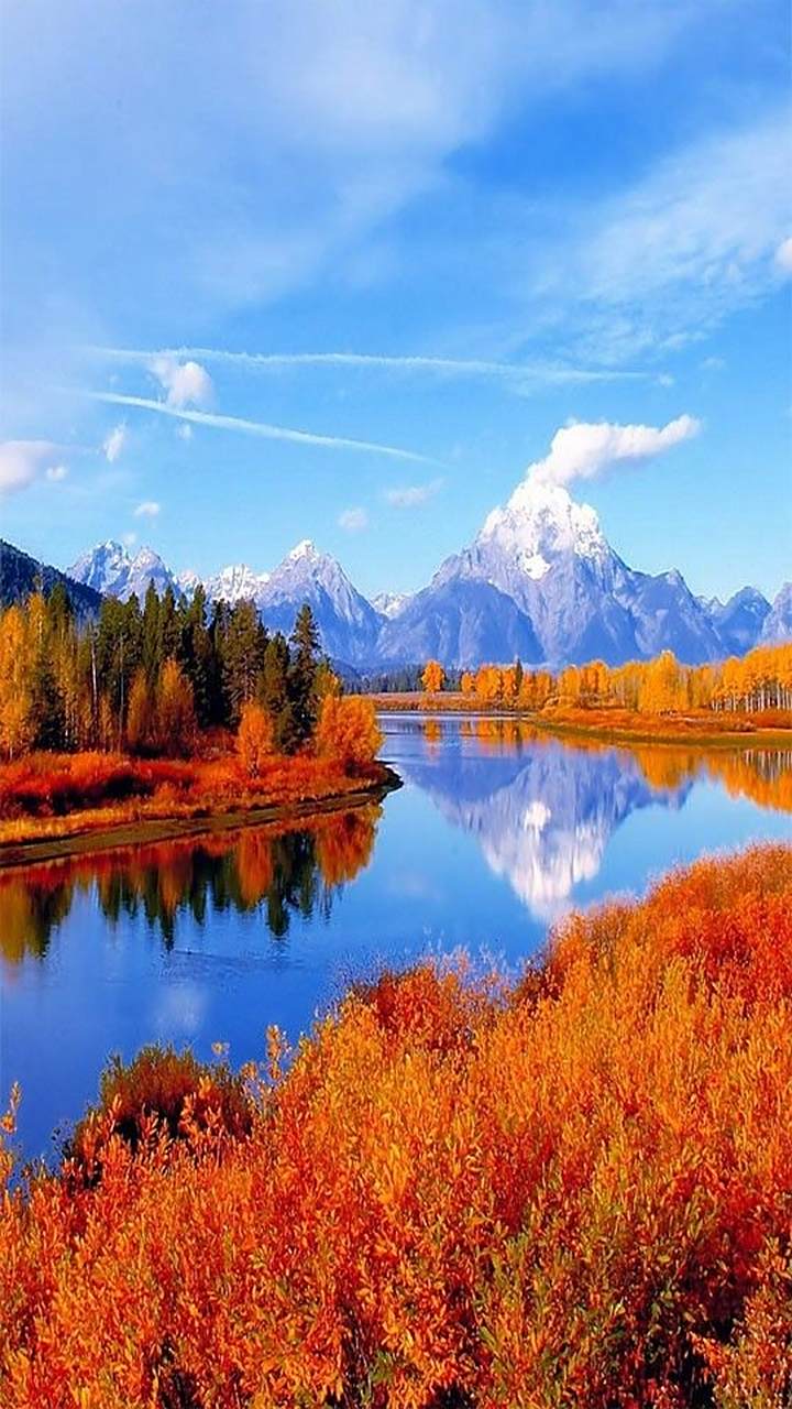 720_1280竖版 竖屏