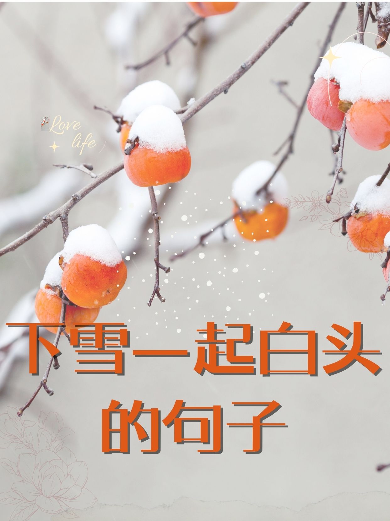 冬天飘雪的图片带字的图片