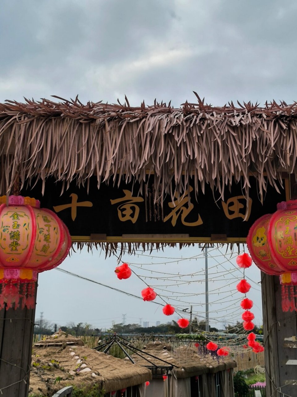 当我走进汕头市潮阳区海门镇坑尾村的这片花海,我简直被眼前的美景