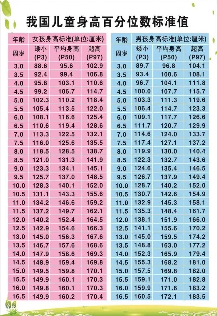 五岁半女孩身高图片