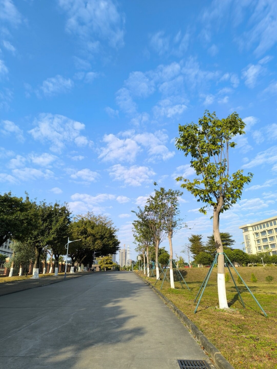 晴空万里 蓝天白云 天气真好