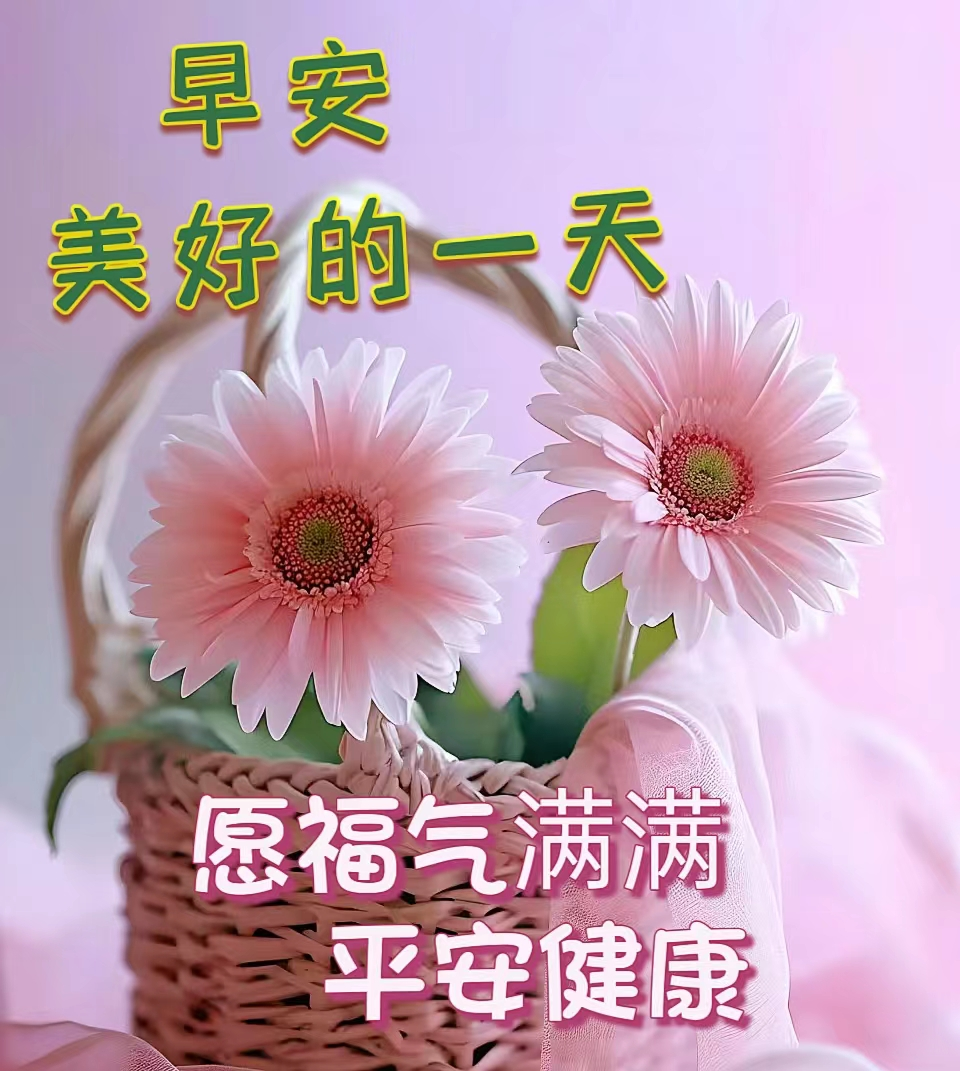 新的一天早安祝福图片图片