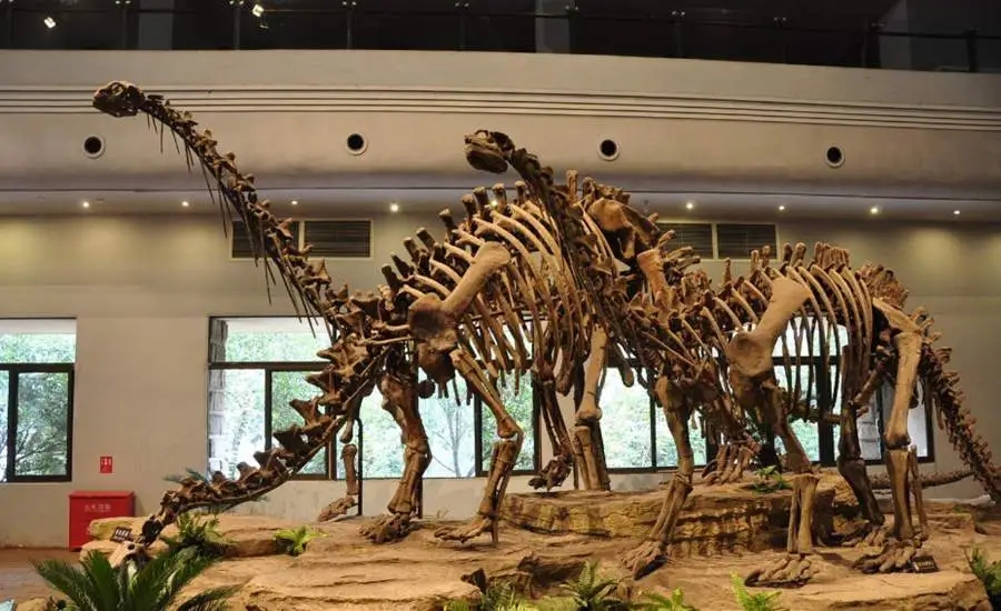 四川省自贡市必去的5个景点有:1,自贡恐龙博物馆