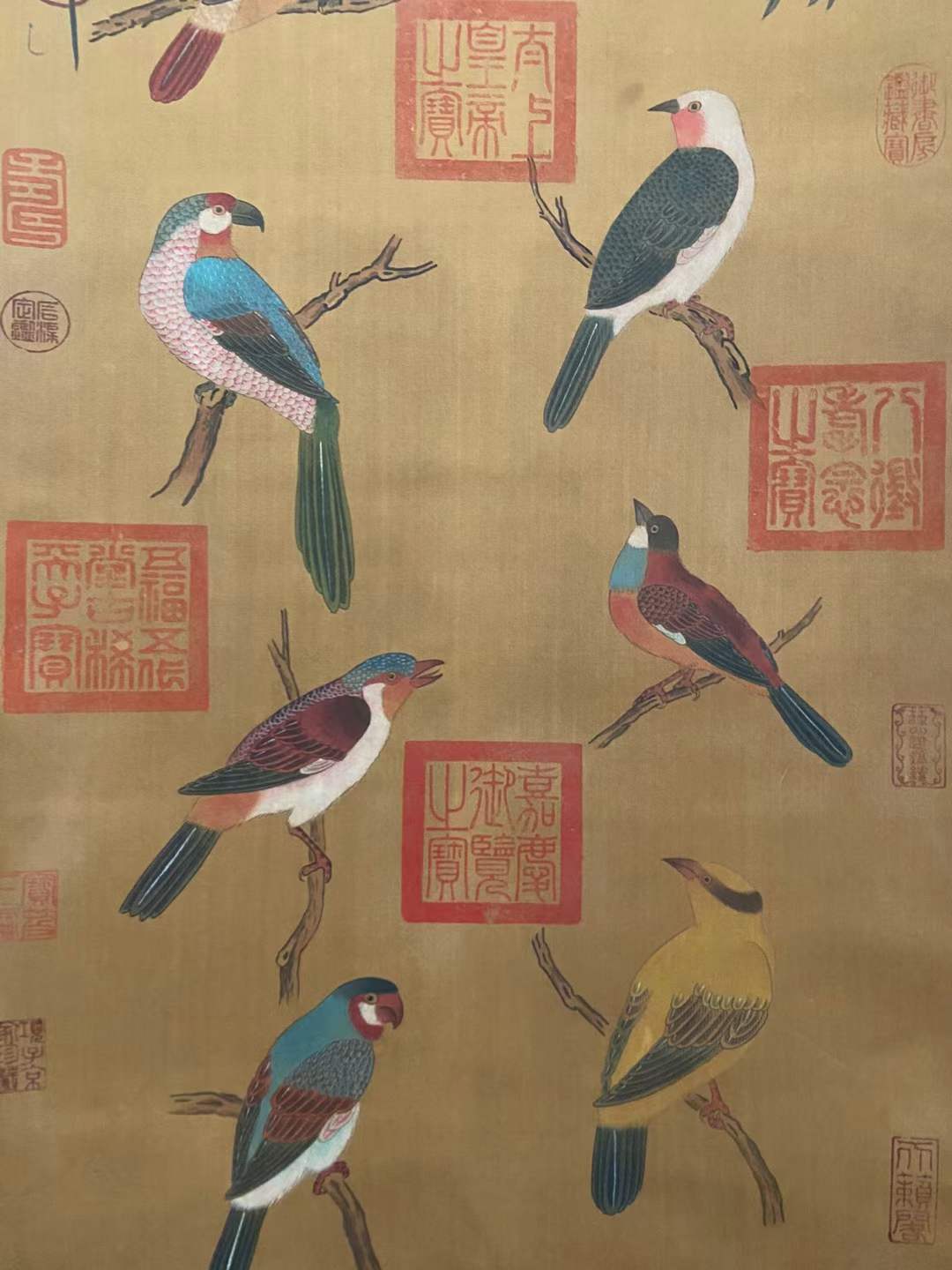 宋代,宋徽宗精品绢本《珍禽图》画心尺寸43.5cmx89.5cm