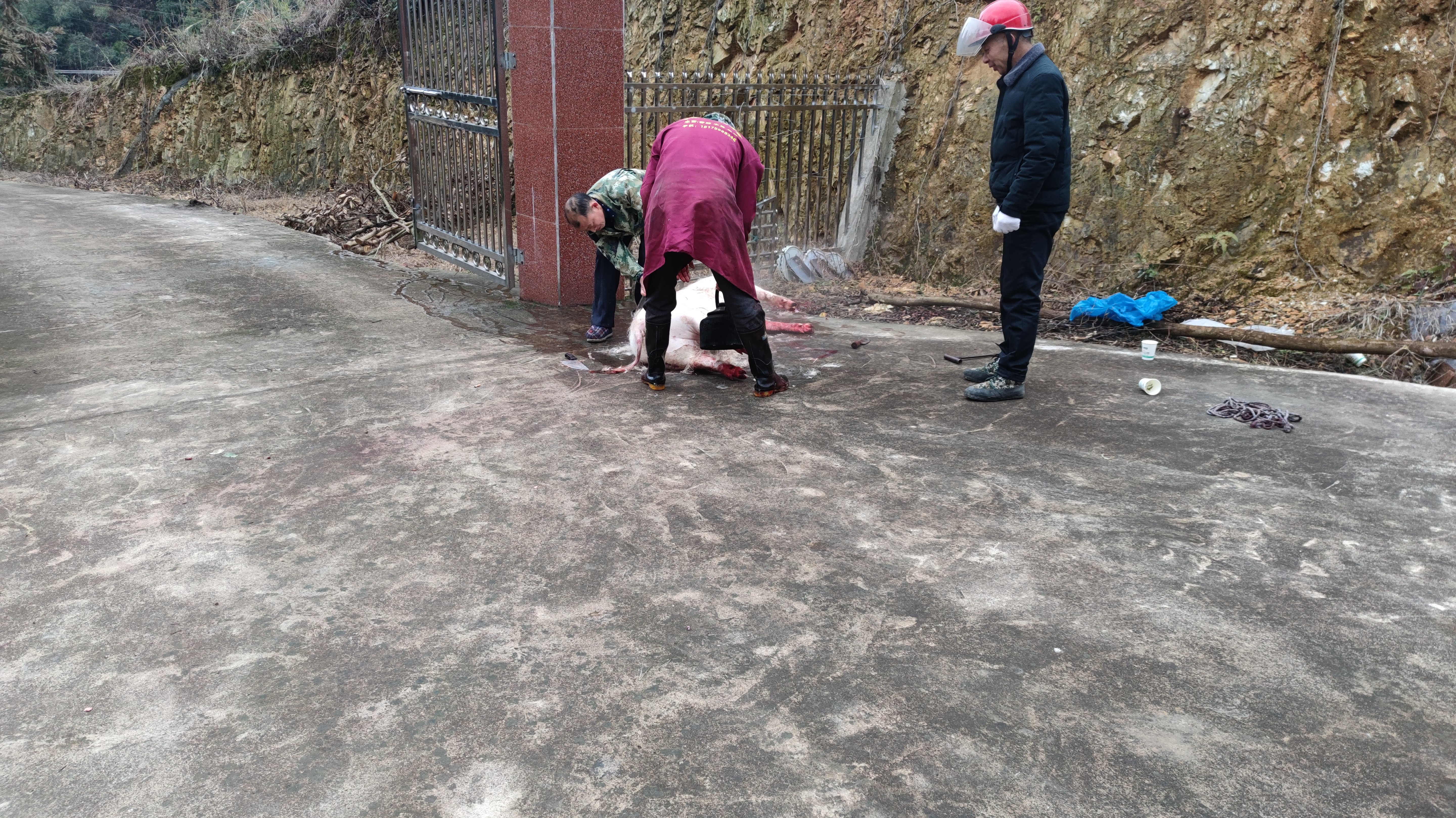 春节越来越近了,农村和城里不一样,家家户户都开始忙活过年的事情了