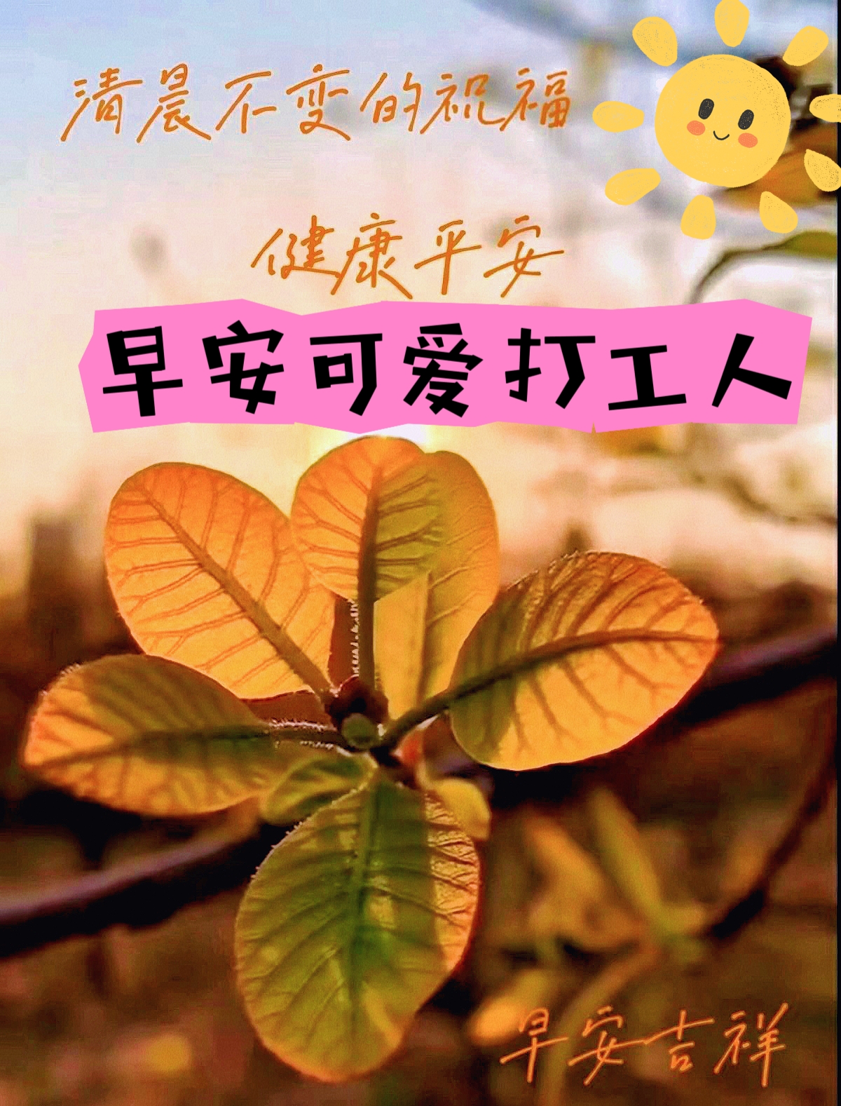 天气再冷也有温暖的问候,早安~