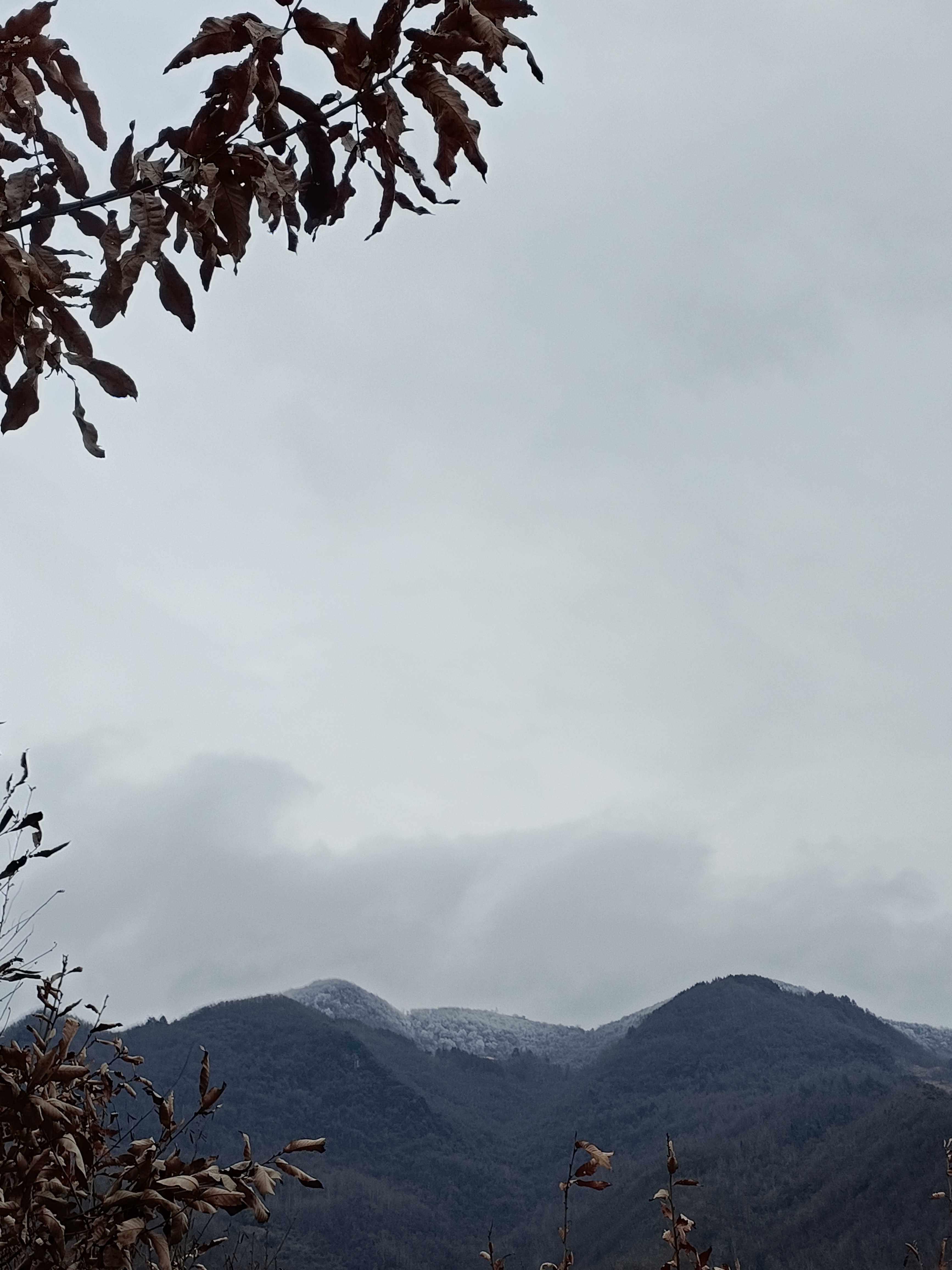 后来的我们学会了坚强,学会了独立,却失去了快乐.