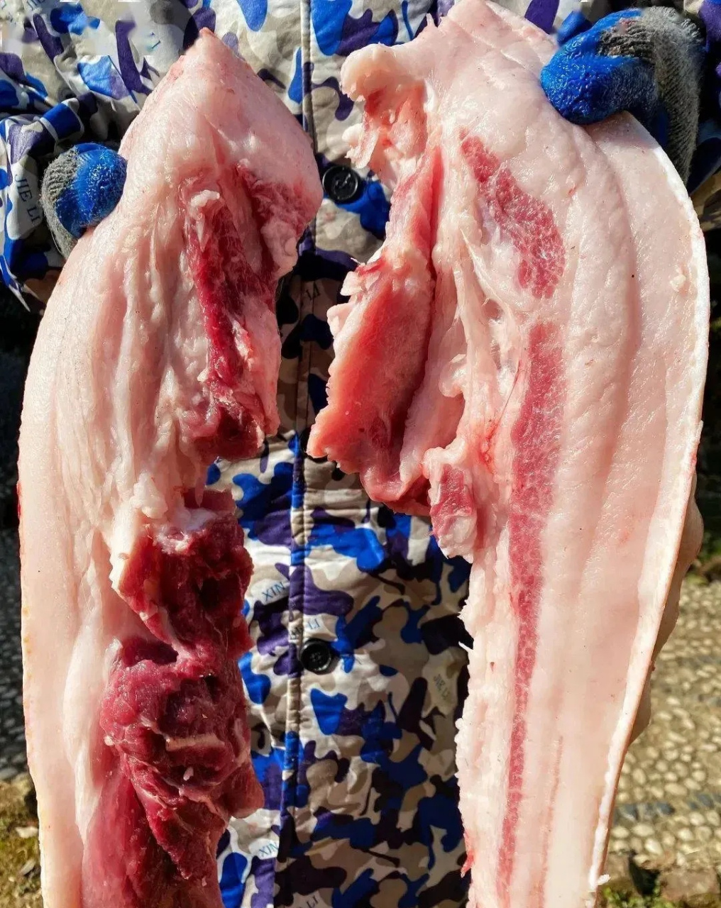 下班回家,门口突然出现的一大块肥猪肉,让我心跳加速.