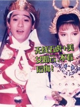 1985版杨家将演员表图片