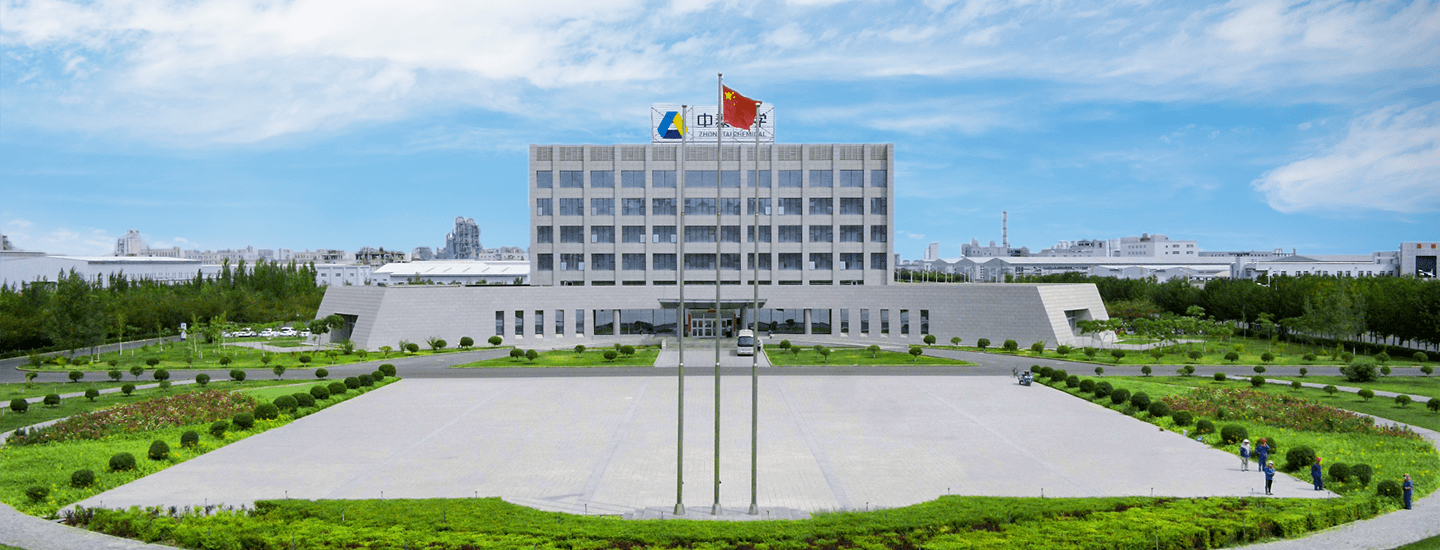 新疆中泰化学股份有限公司党委书记,董事长,王洪欣的简历