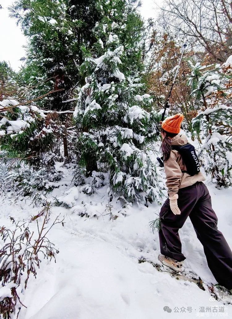 雪地里1314图片