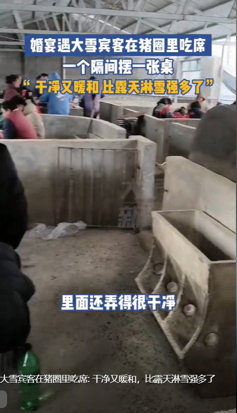 当然不是,这些都是雪淋在了他们的头上,让他们全部都"白了头".