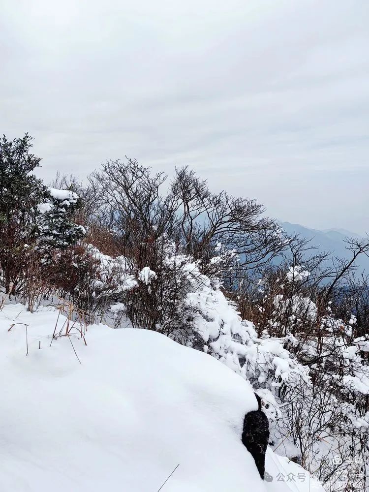 雪地里1314图片