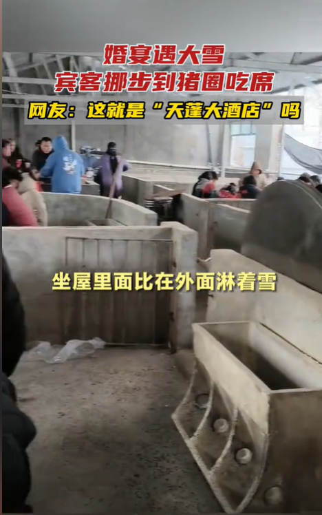 当然不是,这些都是雪淋在了他们的头上,让他们全部都"白了头".