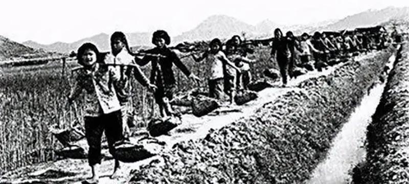 一顿七嘴八舌,顾金芳才知道自己出名了.