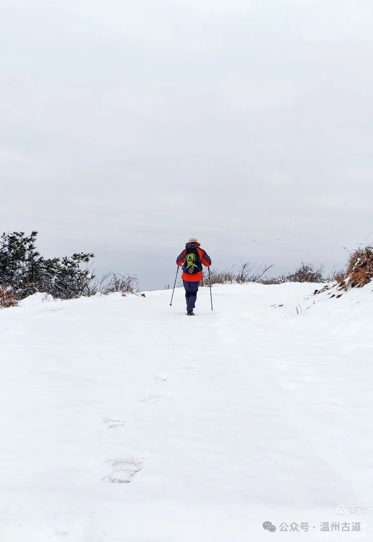 雪地里1314图片