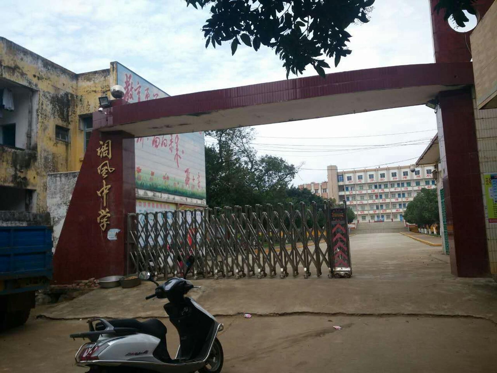 鸡窝里飞出金凤凰老曹家是广东雷州市调风镇一户普通农民,家里有三子
