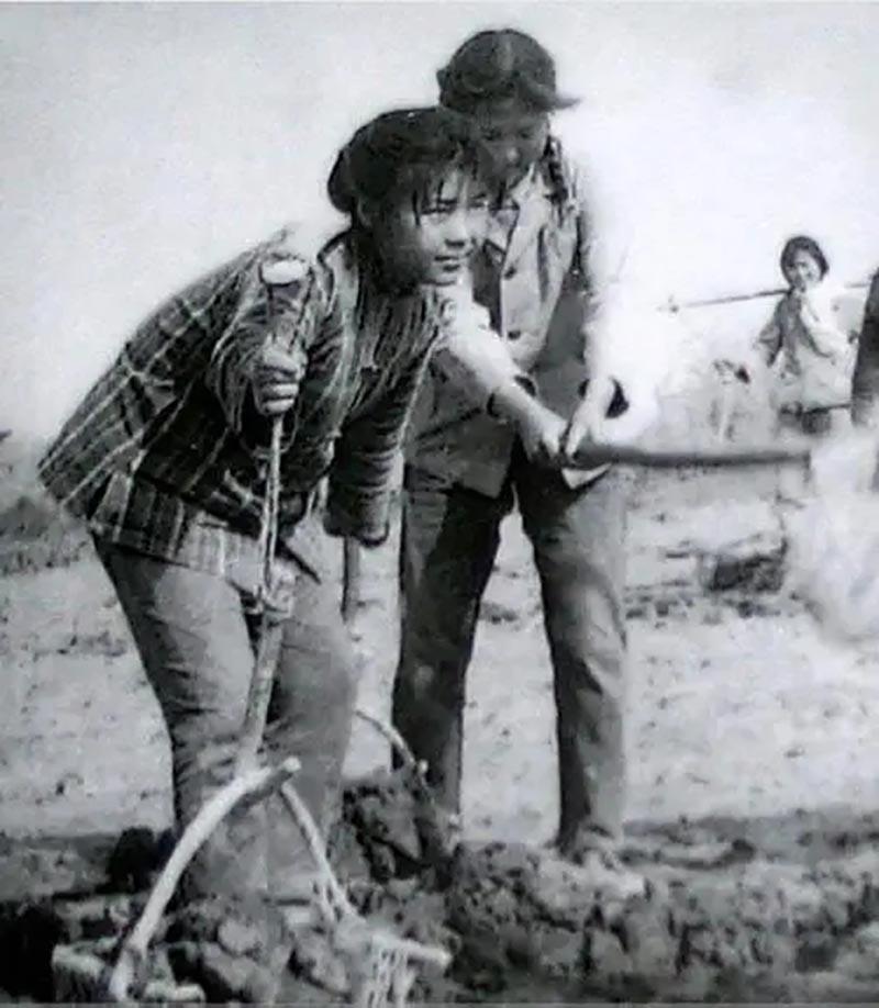 一顿七嘴八舌,顾金芳才知道自己出名了.