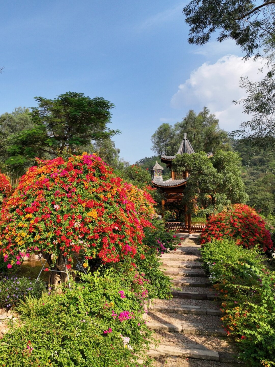 广州花都马岭观花植物园闭园  广州花都马岭观花植物园目前正在进行闭