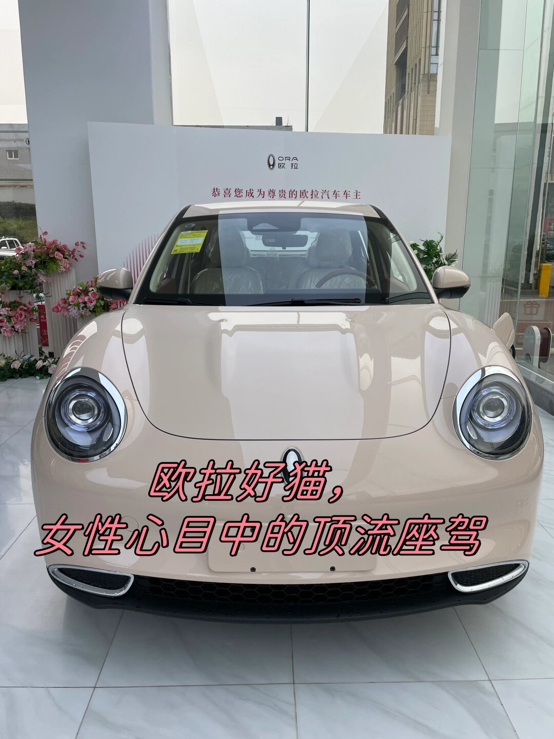 如果你是一位女性那么欧拉好猫一定是你不容错过的选择