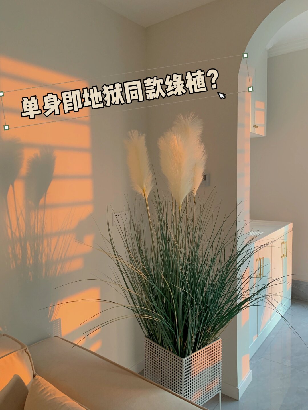 今晚看了最近大火的单身即地狱