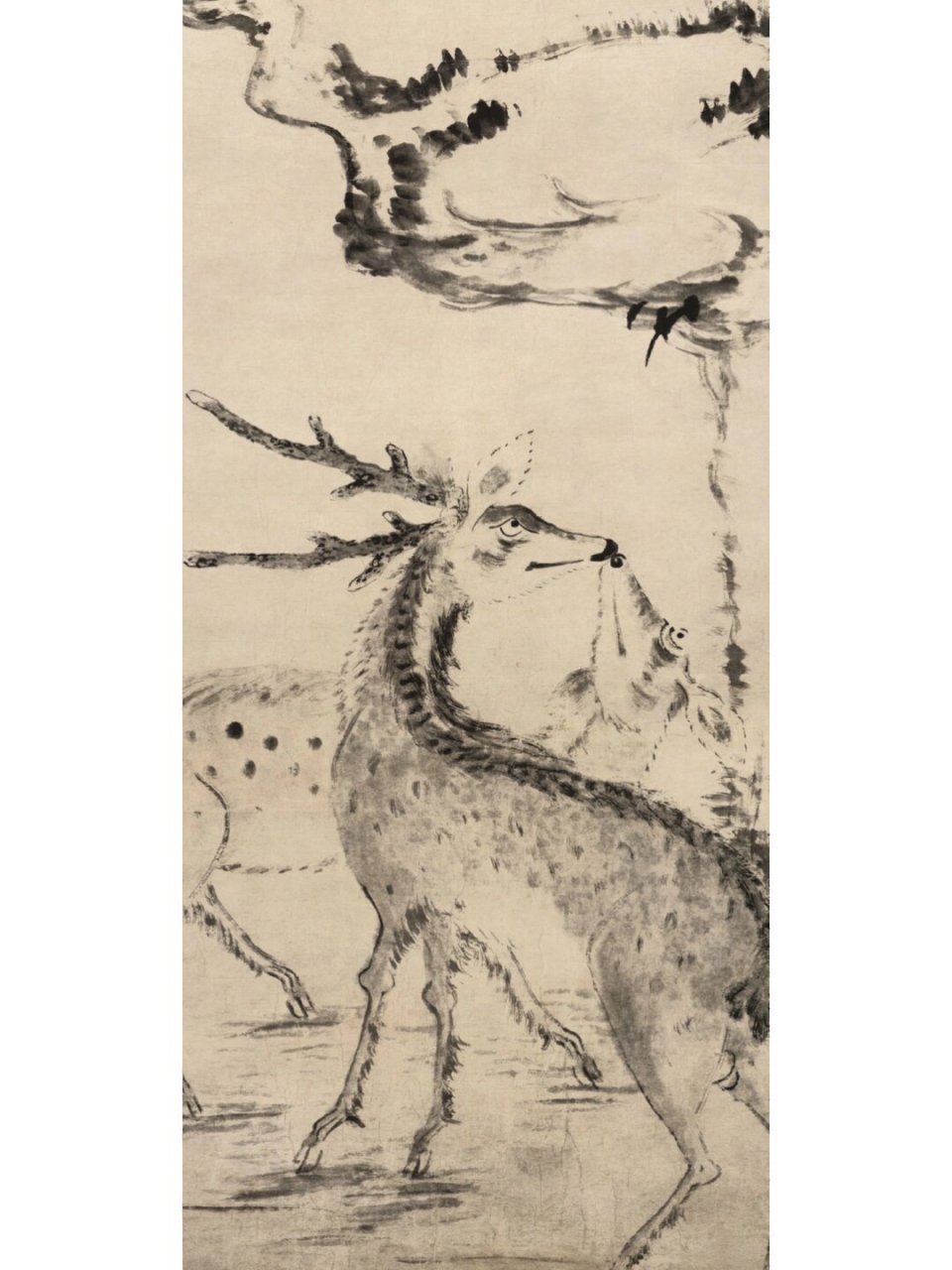 八大山人笔下的翻白眼动物  八大山人,名朱耷,可谓皇族后代,明末清初