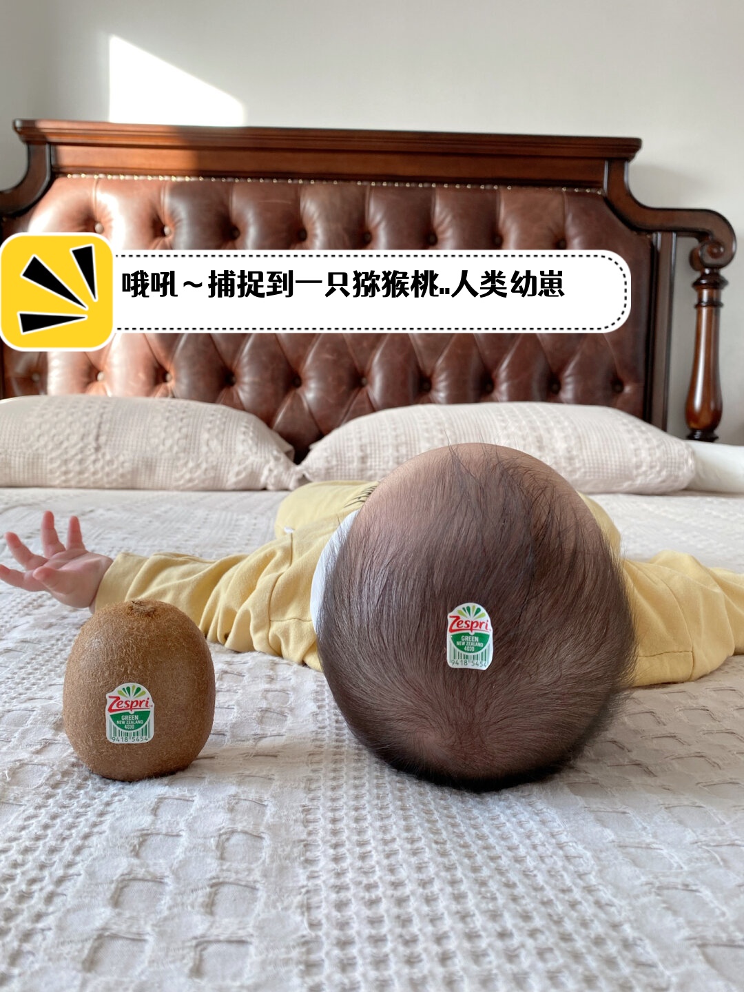 从焦虑到淡定我如何给宝宝睡出完美头型?