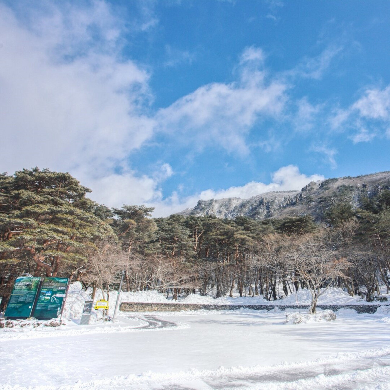 汉拿山总部图片