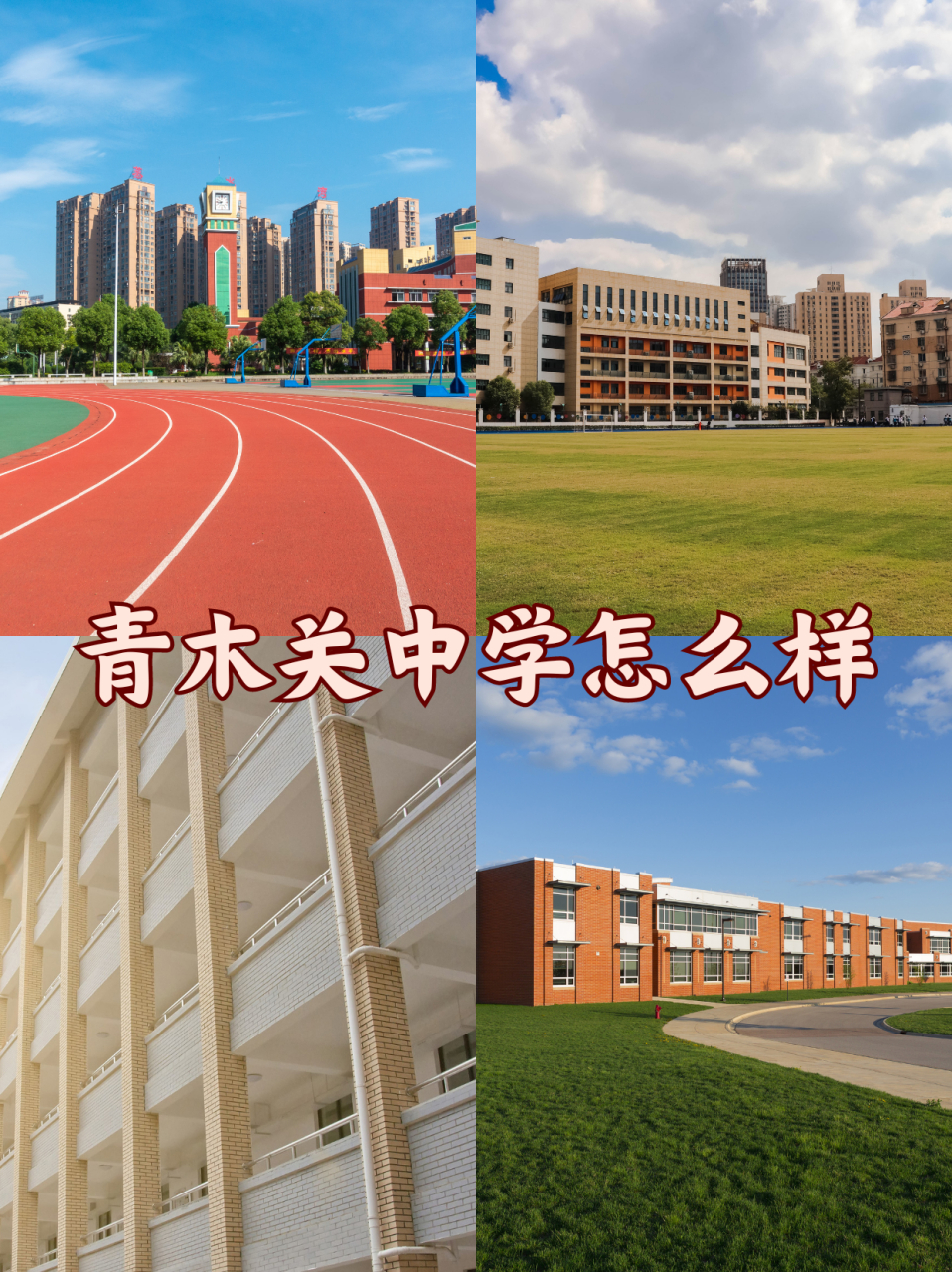 青木关中学图片